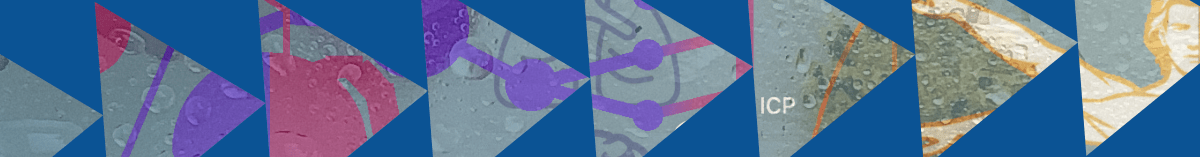 CardioVascularSimulationApp